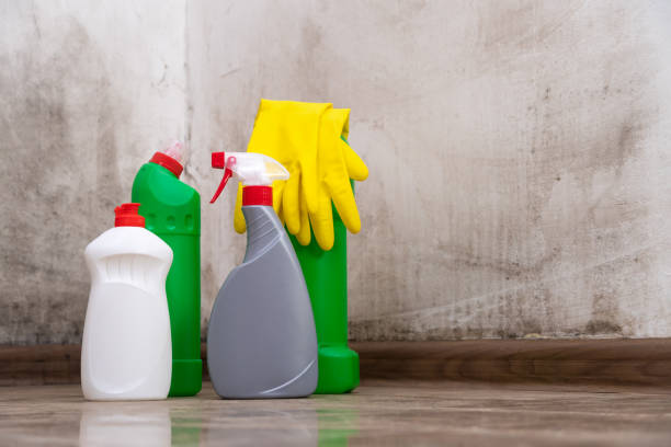 Reliable Farragut, TN Mold Remediation Solutions